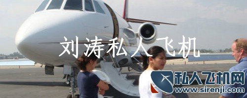 刘涛私人飞机，刘涛私人飞机价格，刘涛私人飞机机型