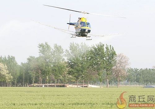 商丘用直升机作业统防小麦病虫害 效果显著