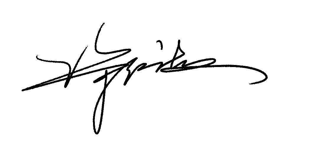 艺术签名练字(电子签名)