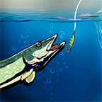渔船公司下载-渔船公司苹果版v6.6.7