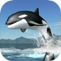 虎鲸生存模拟器下载-虎鲸生存模拟器免费版v3.3.3